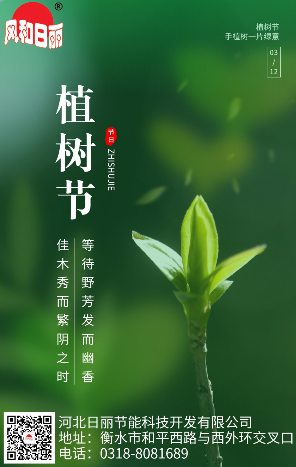 简约312植树节节日祝福海报 (1).png